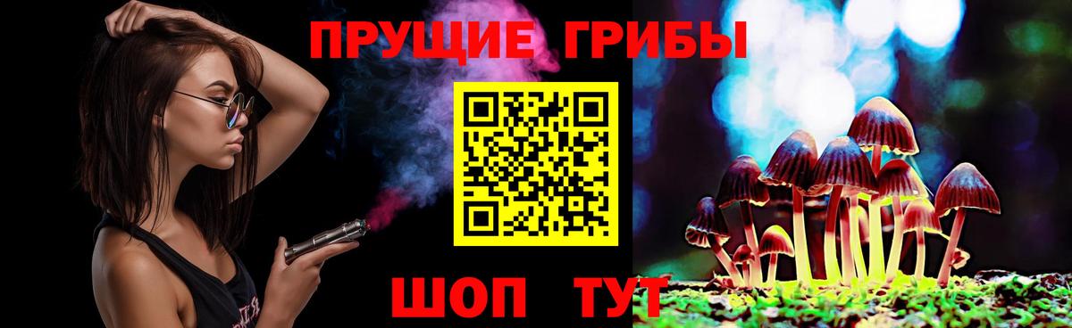 Среднеуральск  Галлюциногенные грибы MAGIC MUSHROOMS  купить   Вход с VPN  Галлюциногенные грибы Psilocybine cubensis 